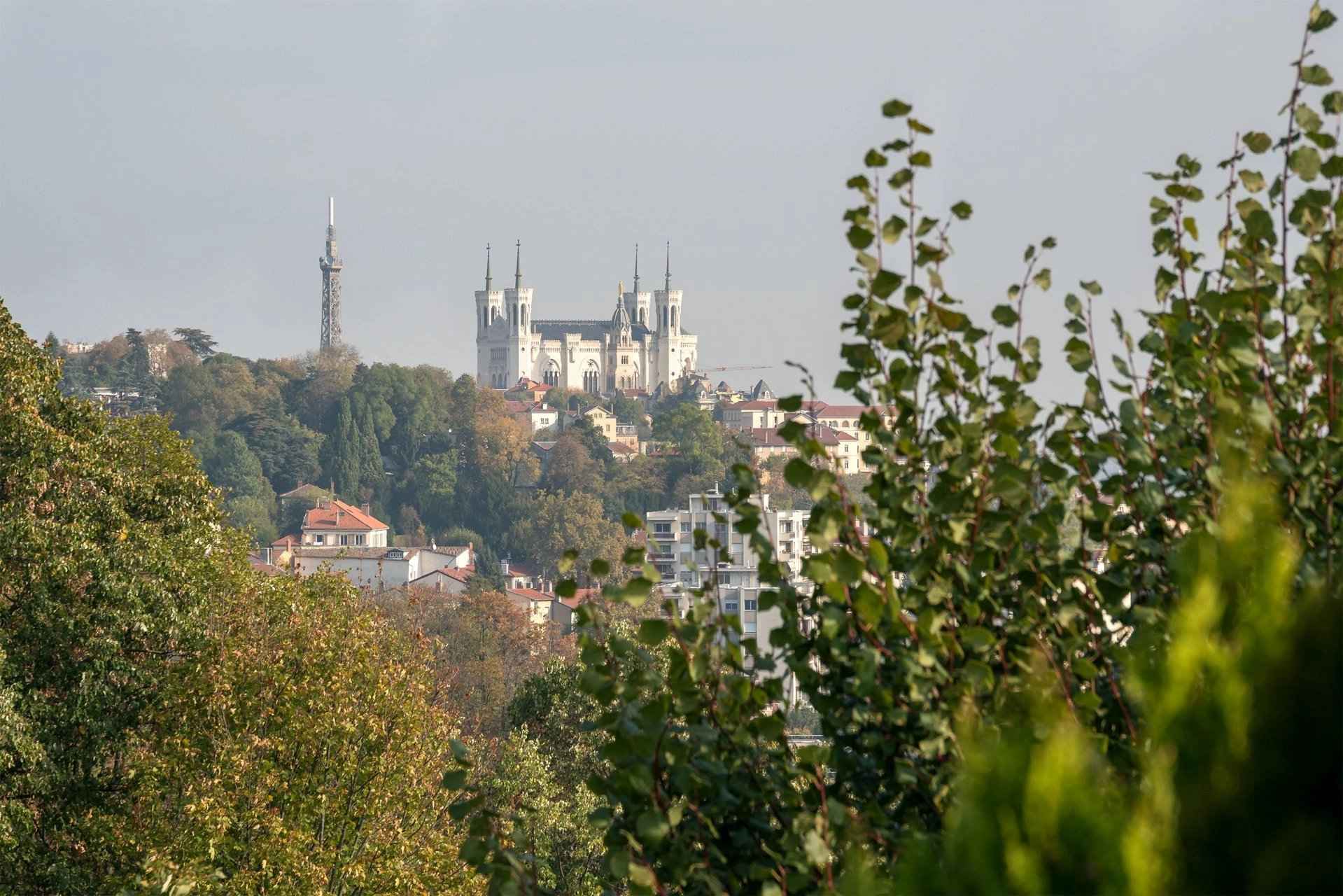 Flat - Barnes Lyon, agence immobilière de prestige