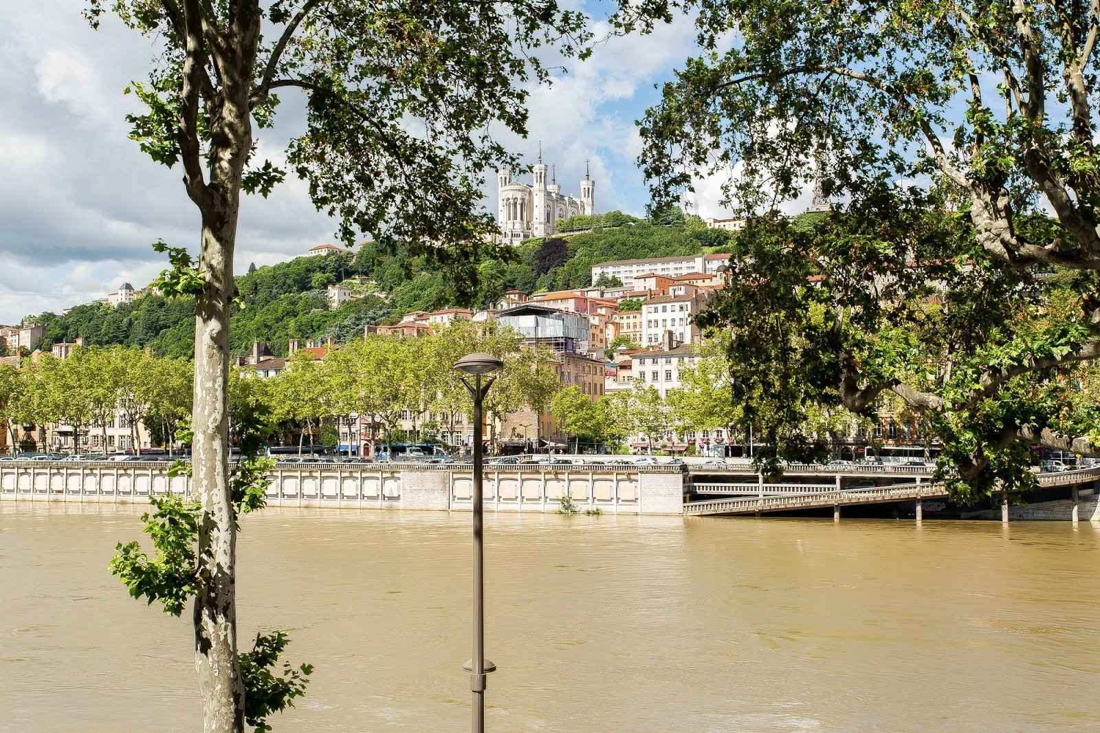 Flat - Barnes Lyon, agence immobilière de prestige