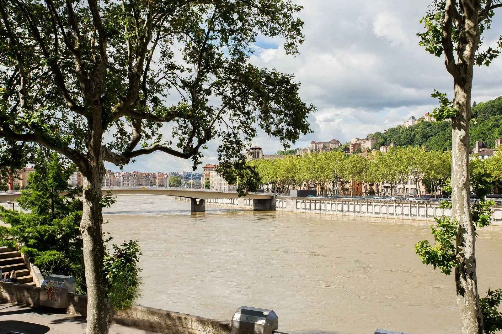 Flat - Barnes Lyon, agence immobilière de prestige