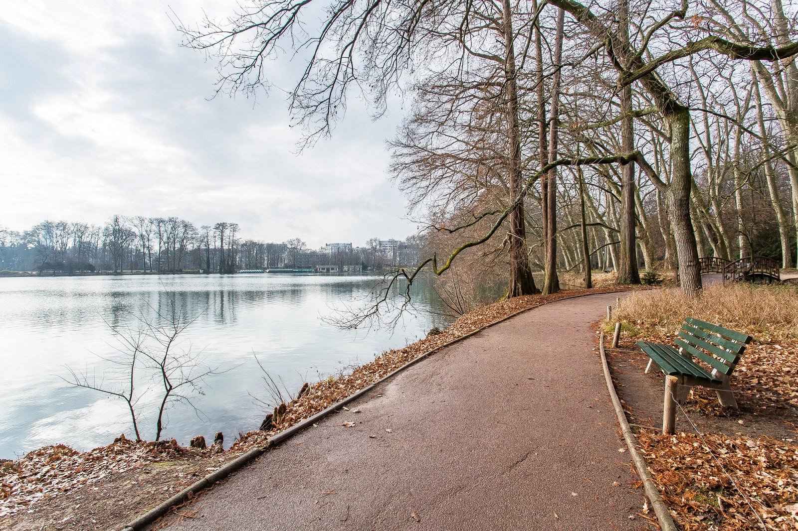 Appartement - Barnes Lyon, agence immobilière de prestige