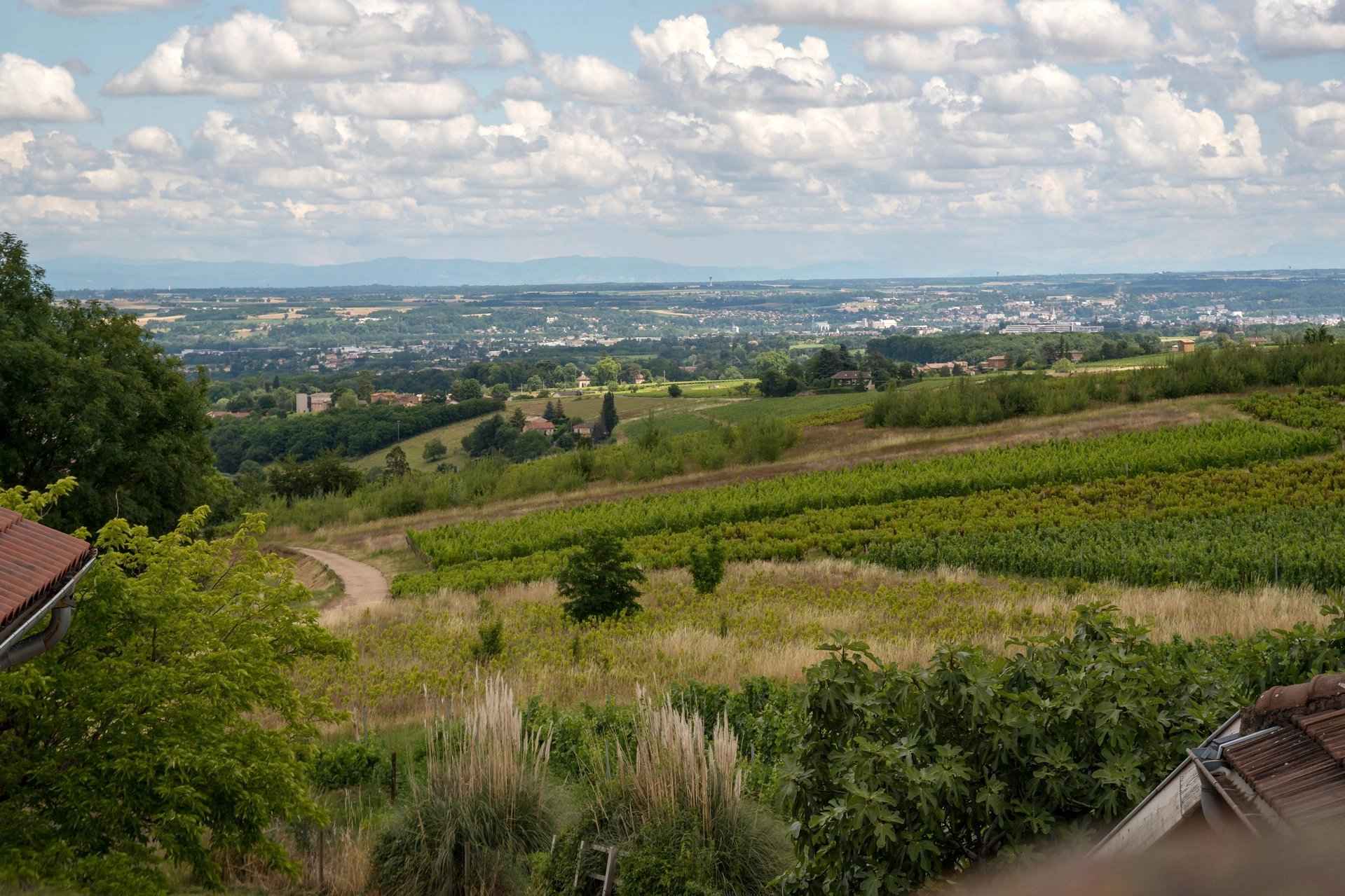 Maison / Villa - Barnes Lyon, agence immobilière de prestige