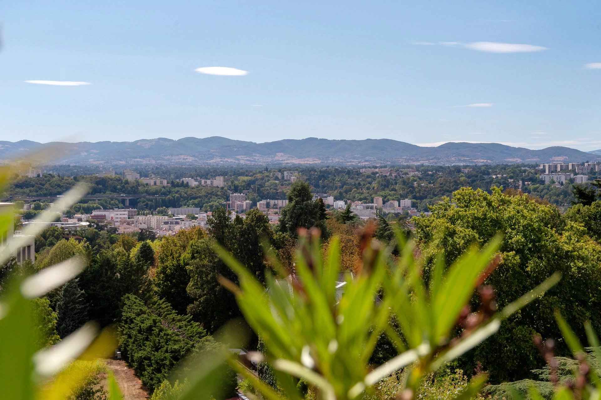 Flat - Barnes Lyon, agence immobilière de prestige