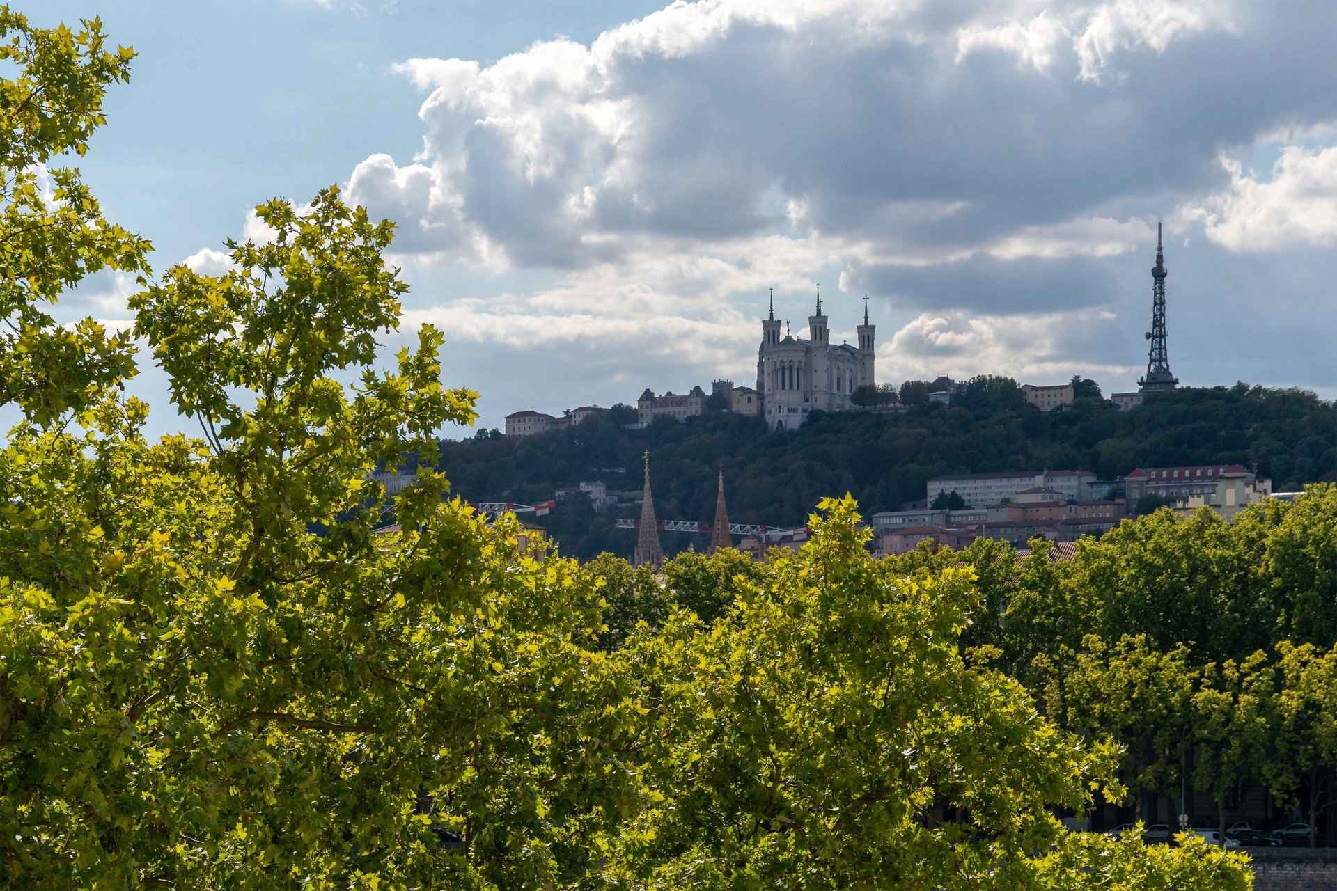 Flat - Barnes Lyon, agence immobilière de prestige