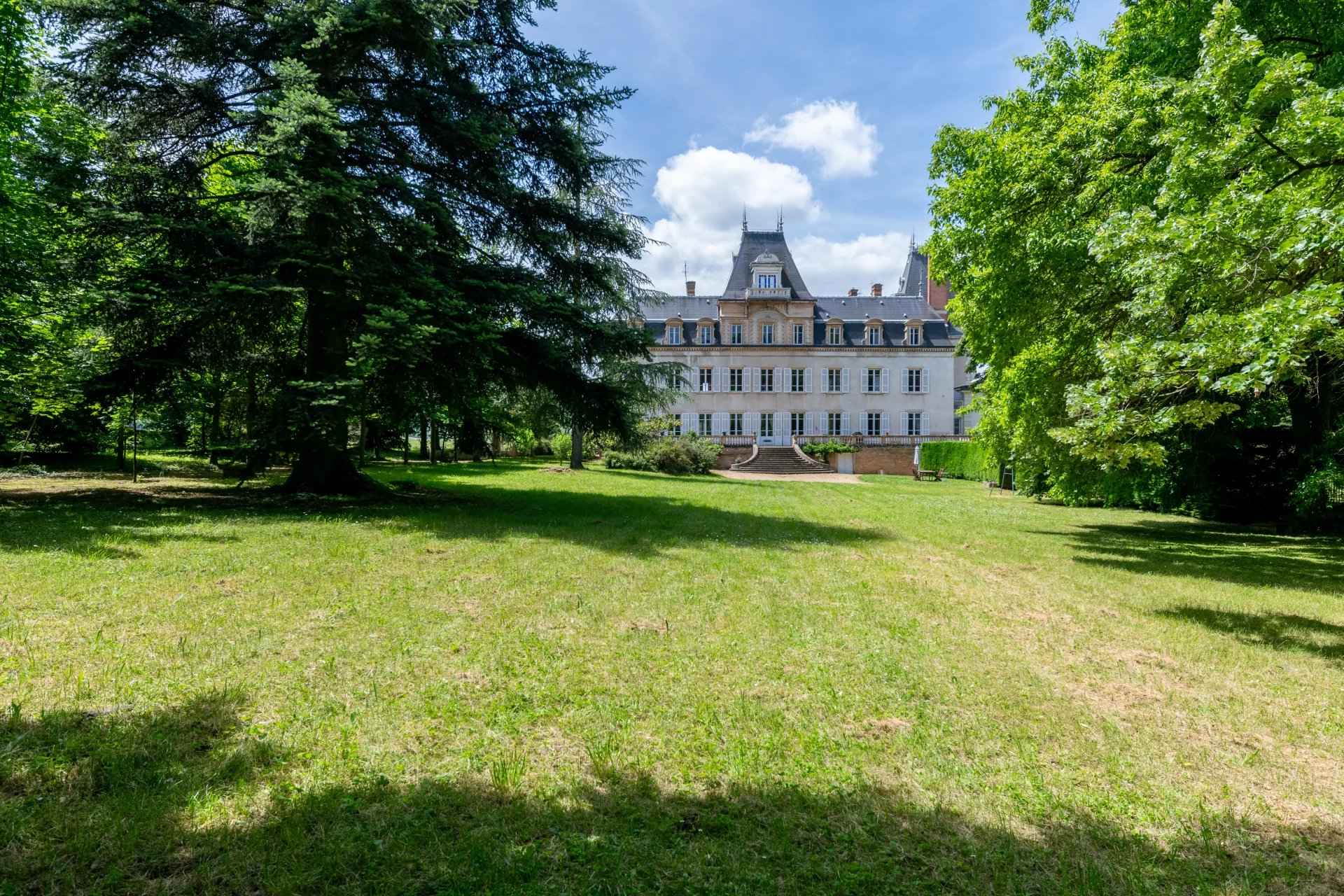 À vendre château à Lacenas