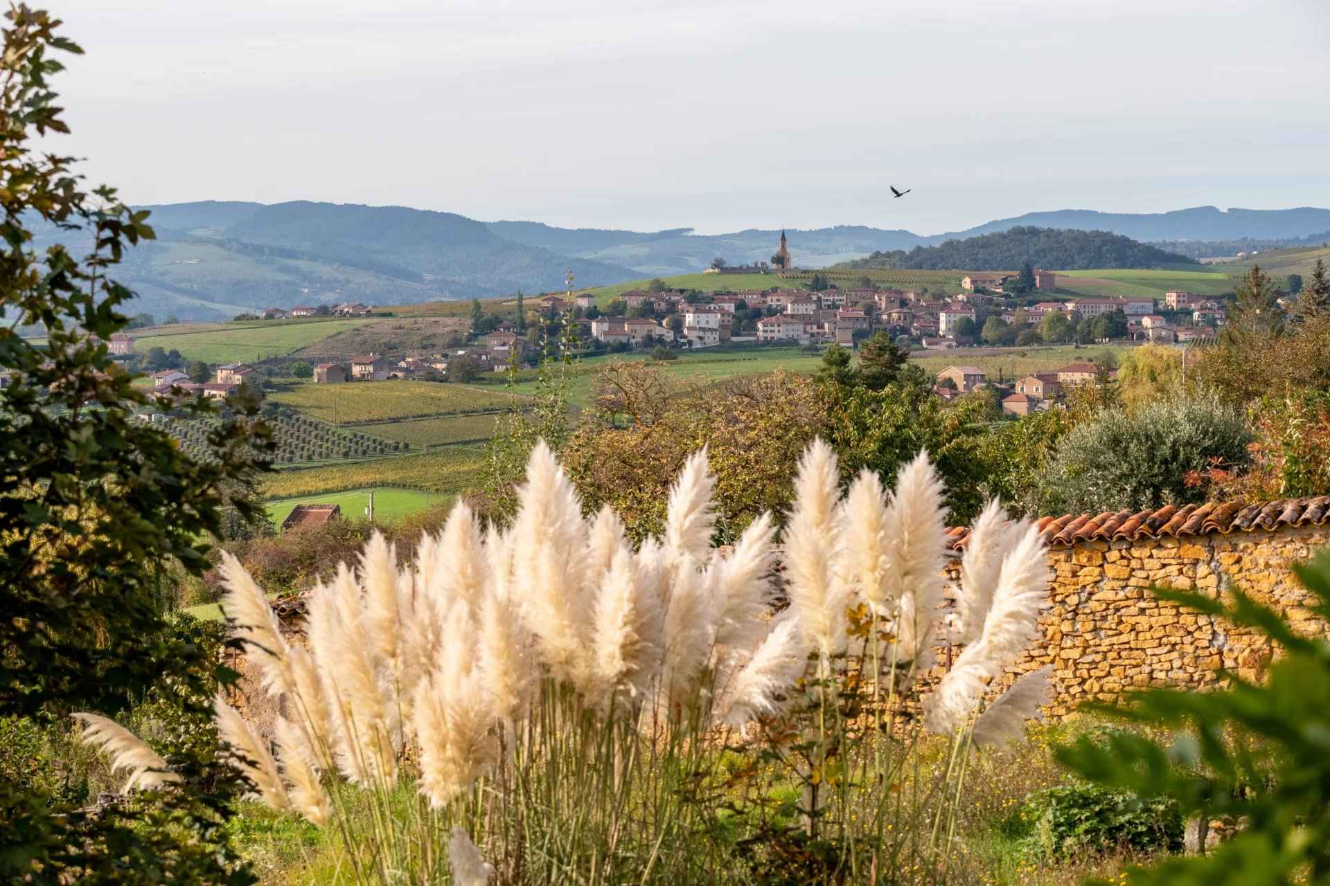 À vendre maison Val d'Oingt