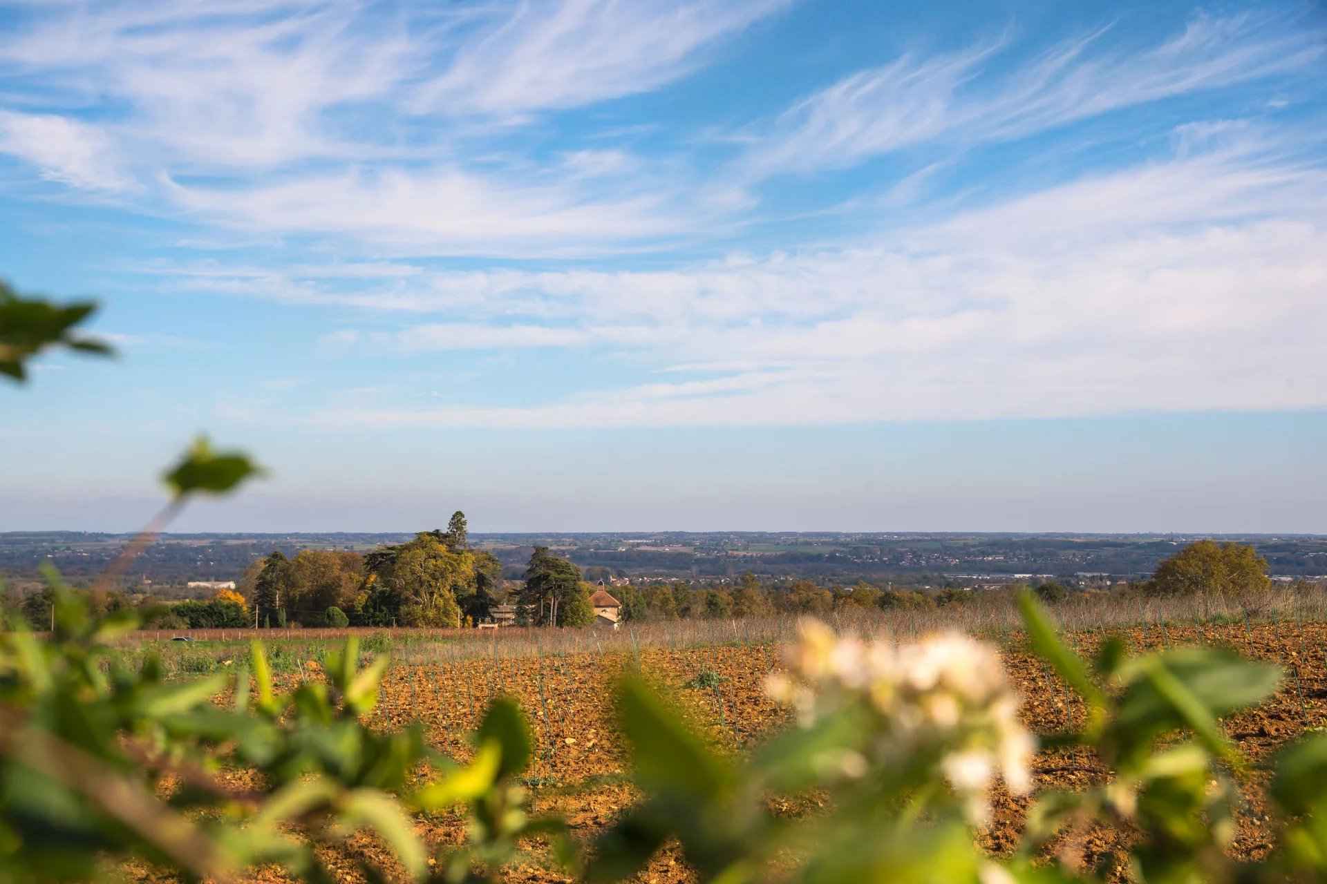 À vendre maison à Saint-Julien