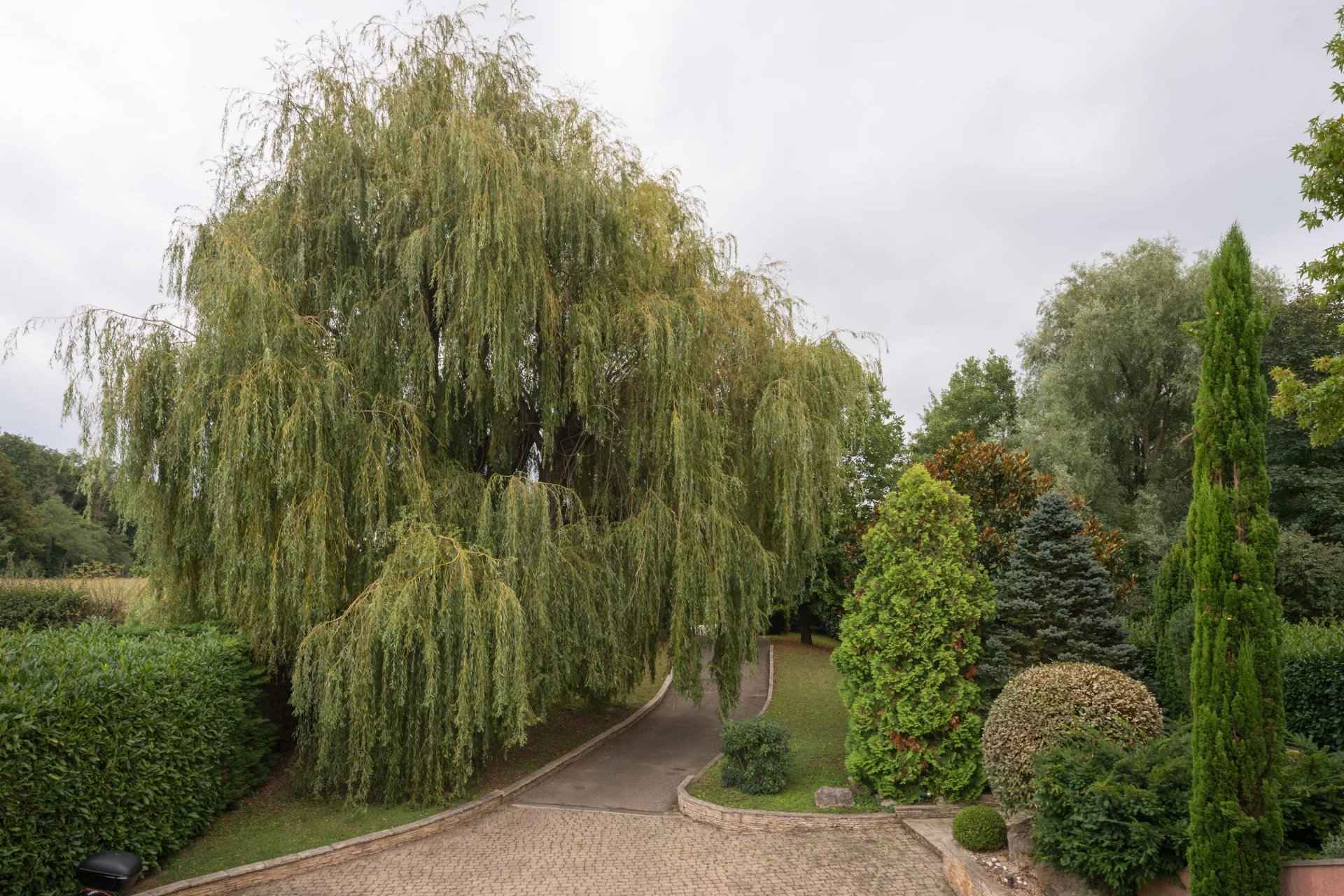 À vendre maison à Chaponnay 